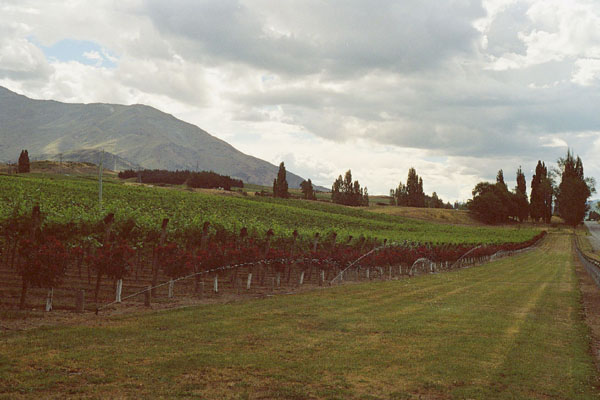 148-winery